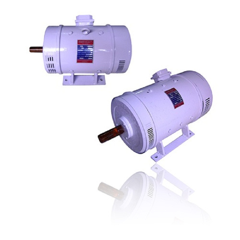 5 HP & 10 HP DC Motor