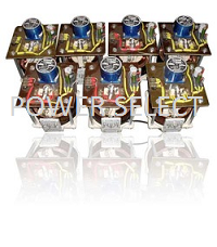 4 KVA Variac