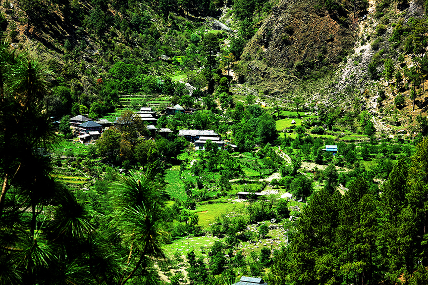 Image description