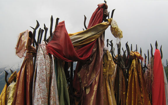 Image description