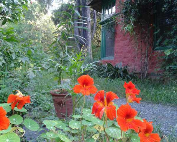 Image description