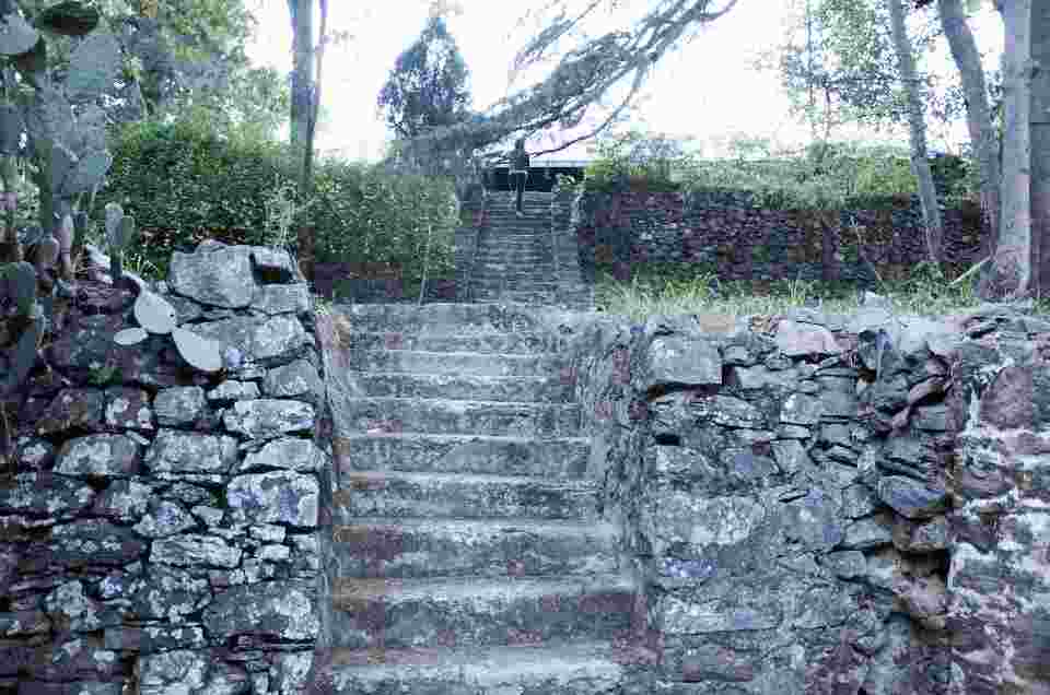 Image description
