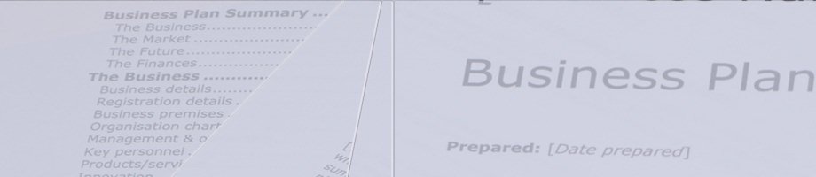 Business Plan