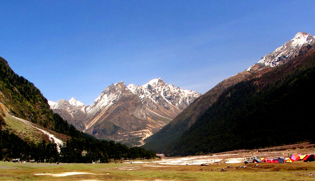 Image description