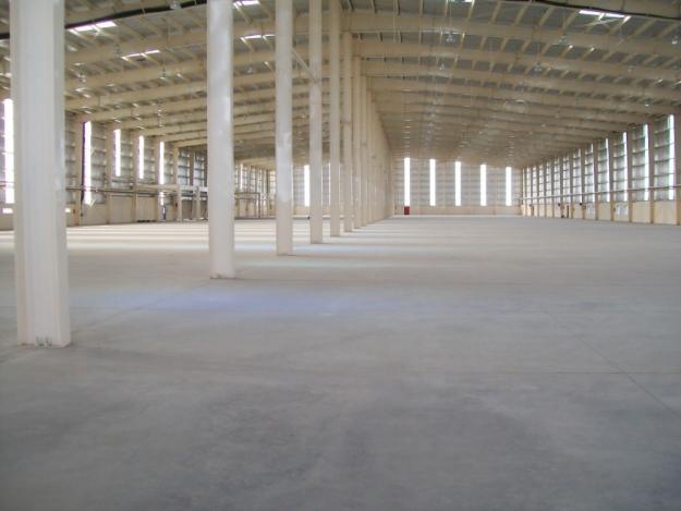 Free s pk free free mp3 songs new hindi songs mp3 pk free