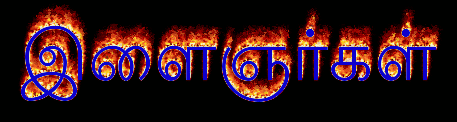 அதிவேட்க்கை கொண்ட வெள்ளலூர் நாட்டு இளைஞர்கள்