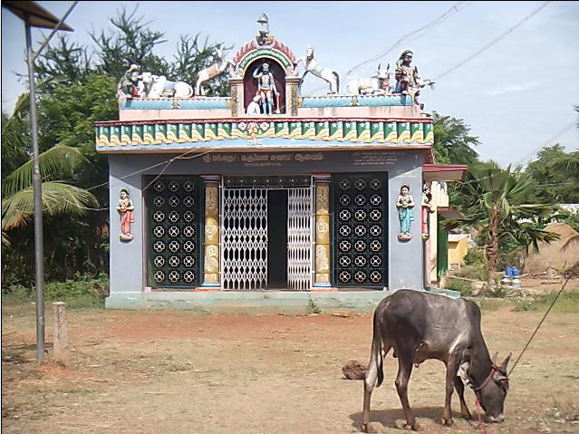 நாயத்தான்பட்டி 