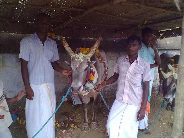 Uranganpatty kovilkaalai