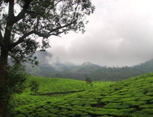 Munnar