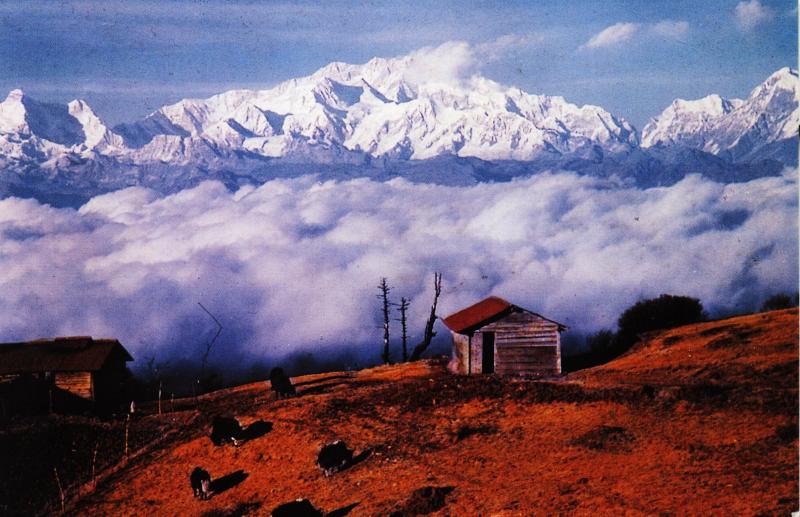 Image description