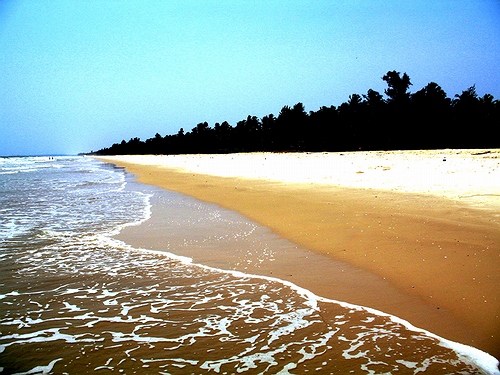 Image description