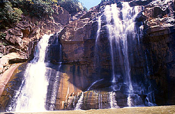 Image description